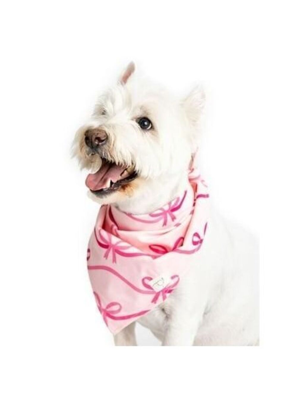 Paris Hilton X Monica + Andy Organic Cotton Pet Bandana